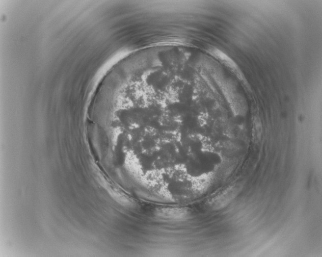 X0000057101427200510071925