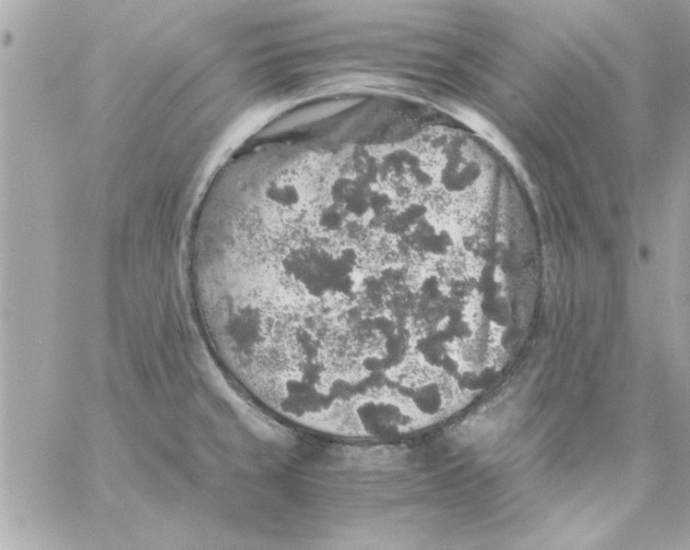 X0000057101429200510071925