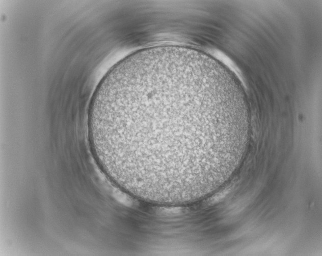 X0000057101431200510071925