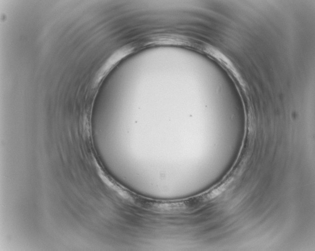 X0000057101433200510071925