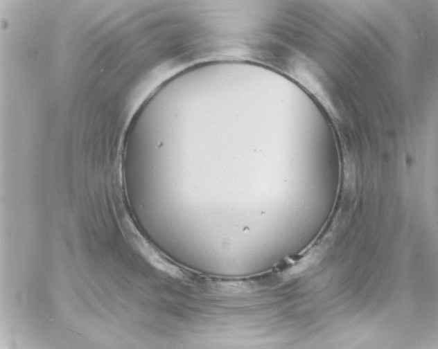 X0000057101436200510071926