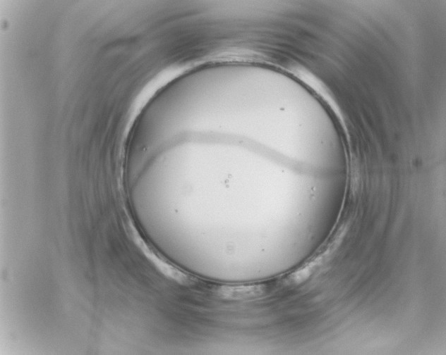 X0000057101437200510071926