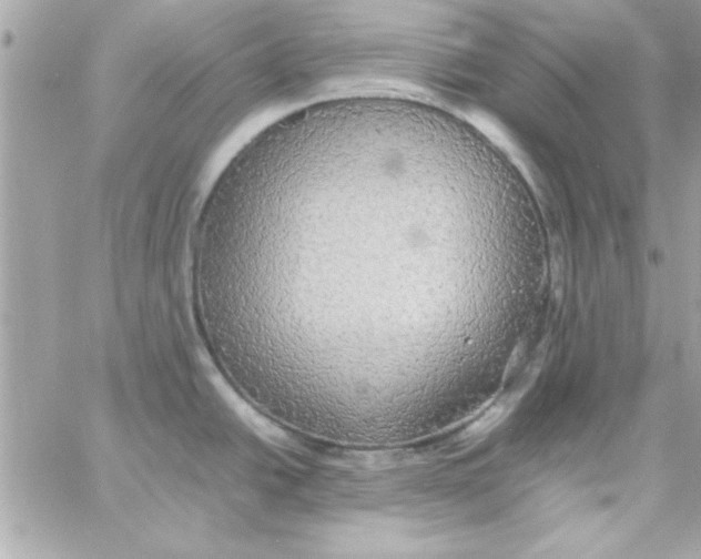 X0000057101438200510071926