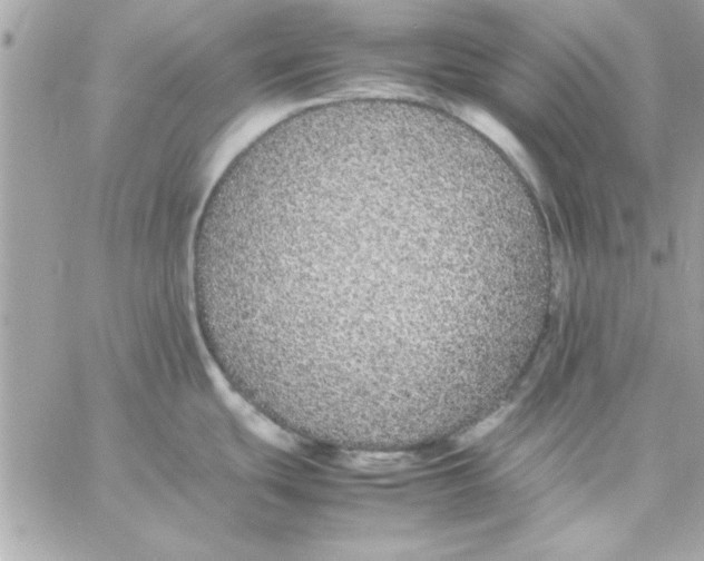 X0000057101439200510071926