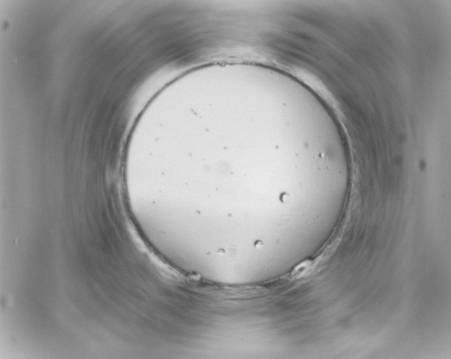 X0000057101440200510071926