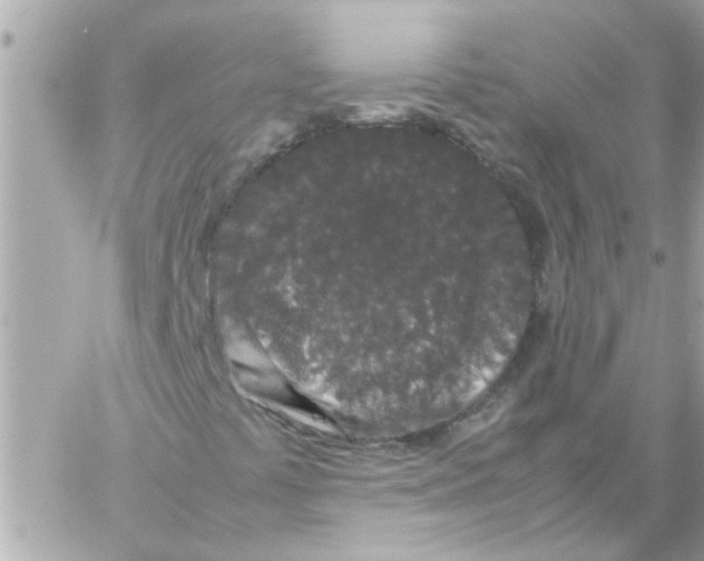 X0000057101441200510071925