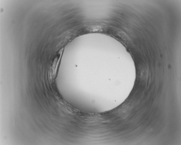 X0000057101442200510071925