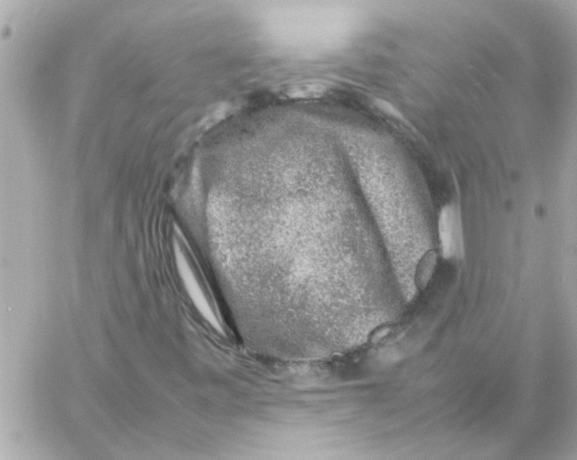 X0000057101443200510071925