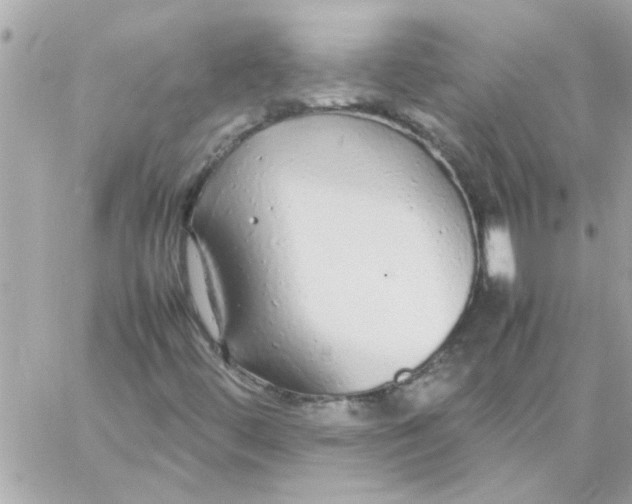 X0000057101444200510071925