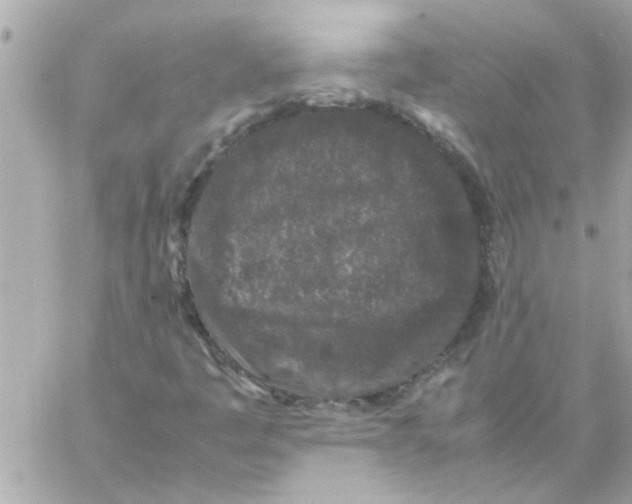 X0000057101445200510071925