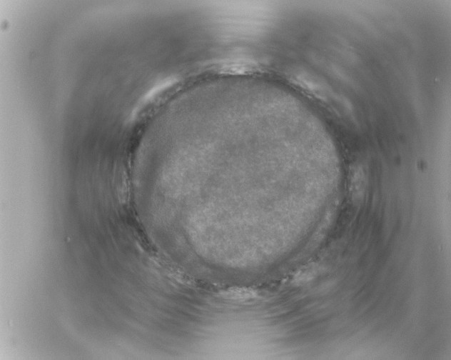 X0000057101446200510071925