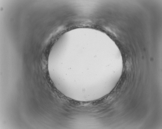 X0000057101447200510071925