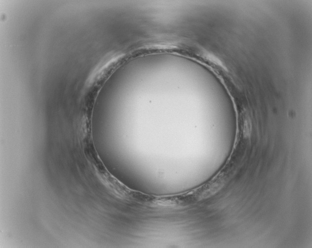 X0000057101448200510071925