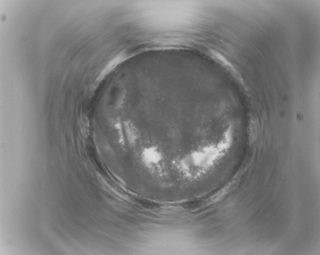 X0000057101449200510071925