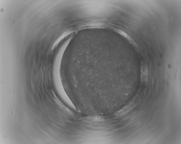 X0000057101450200510071925