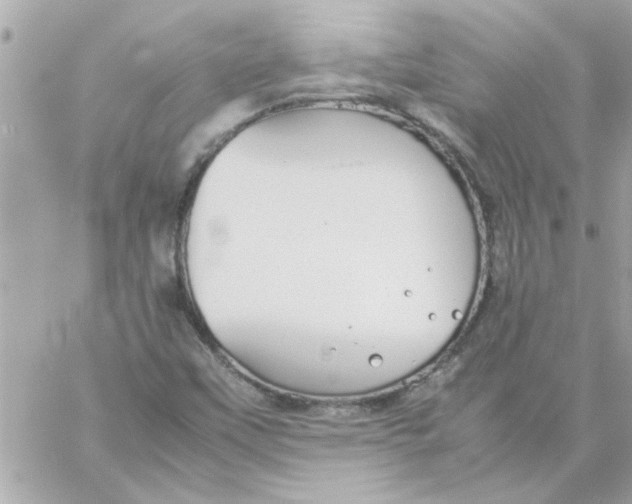 X0000057101451200510071925