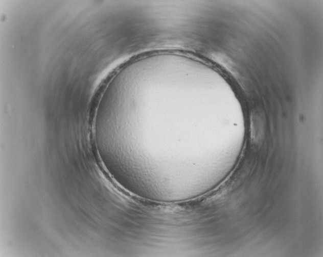 X0000057101452200510071925