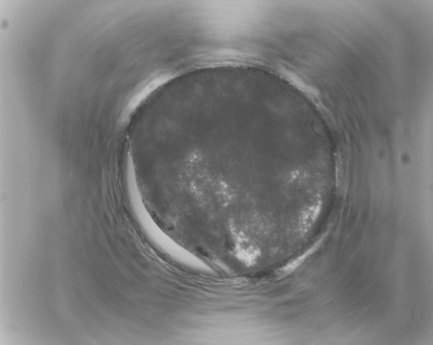 X0000057101453200510071925