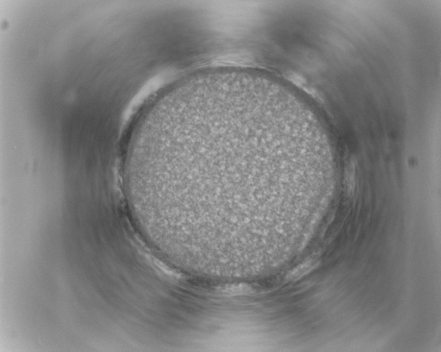 X0000057101454200510071925