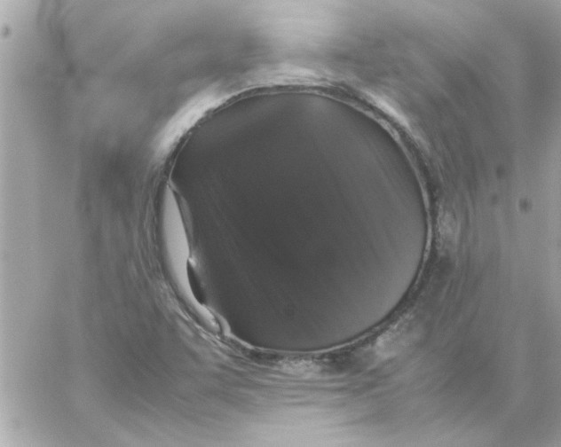 X0000057101455200510071925