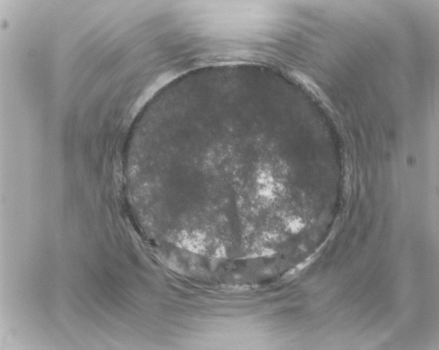 X0000057101457200510071925