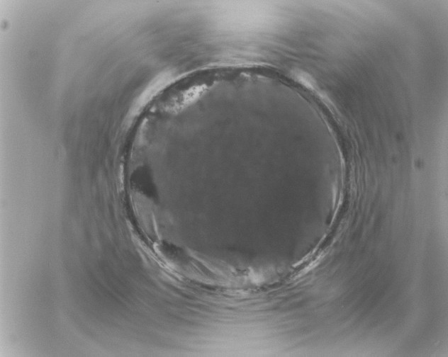 X0000057101459200510071924