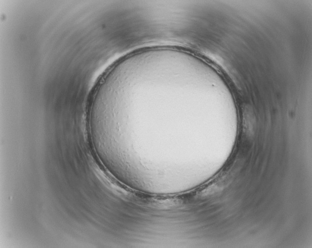 X0000057101460200510071924