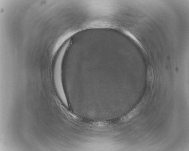 X0000057101461200510071924