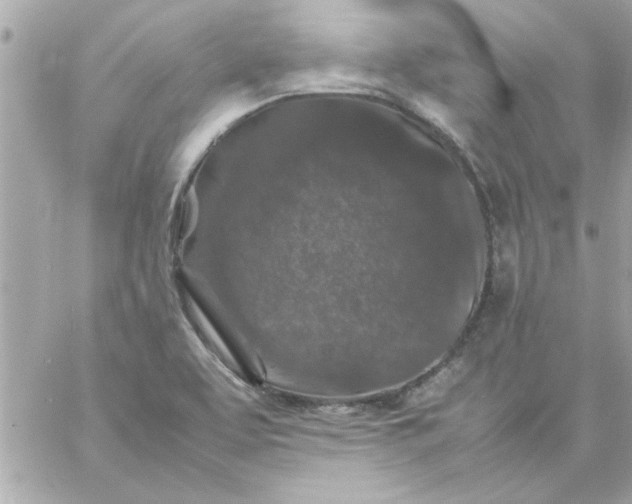 X0000057101463200510071924