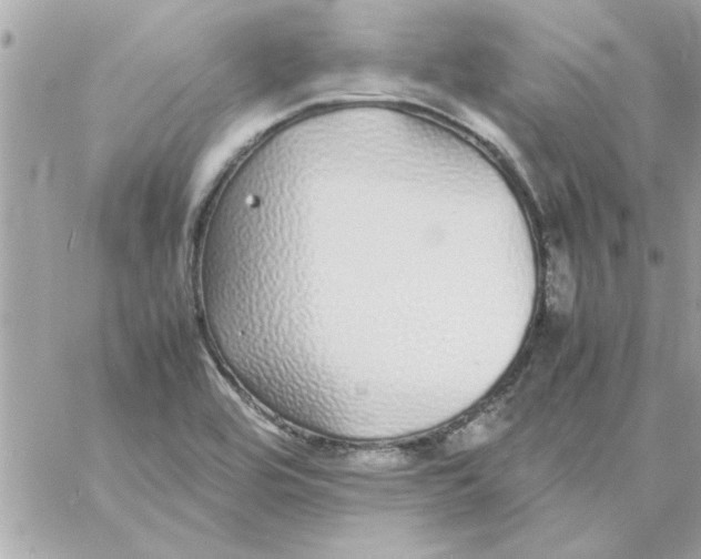 X0000057101464200510071924