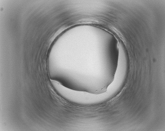 X0000057101465200510071924