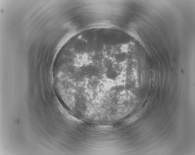 X0000057101466200510071924