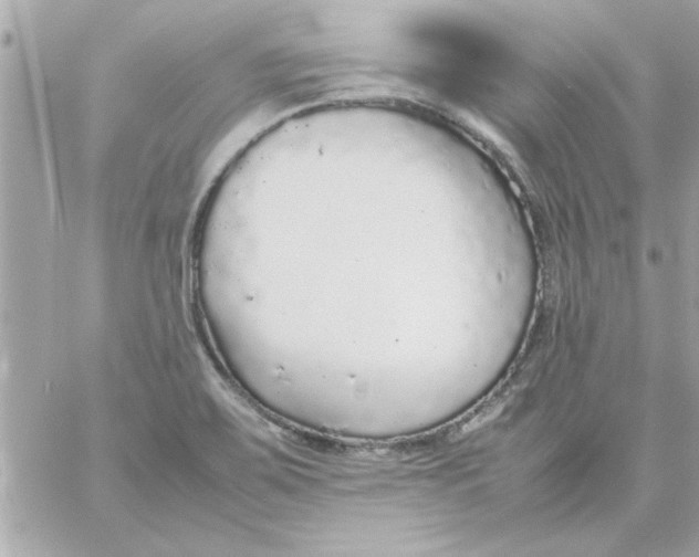 X0000057101467200510071924