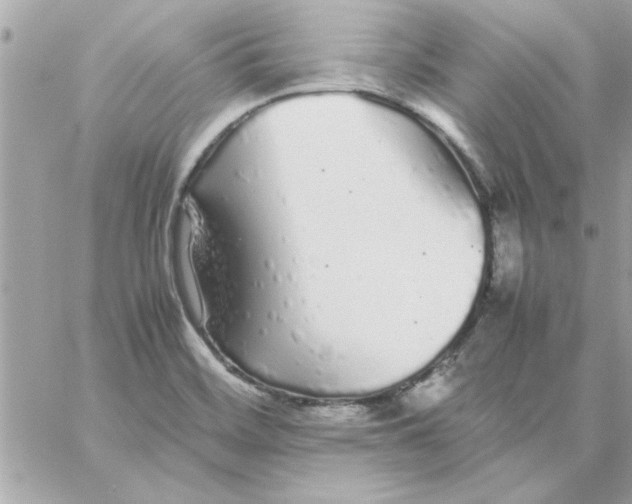 X0000057101468200510071924