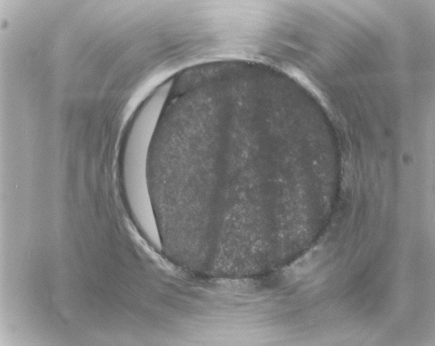 X0000057101469200510071924