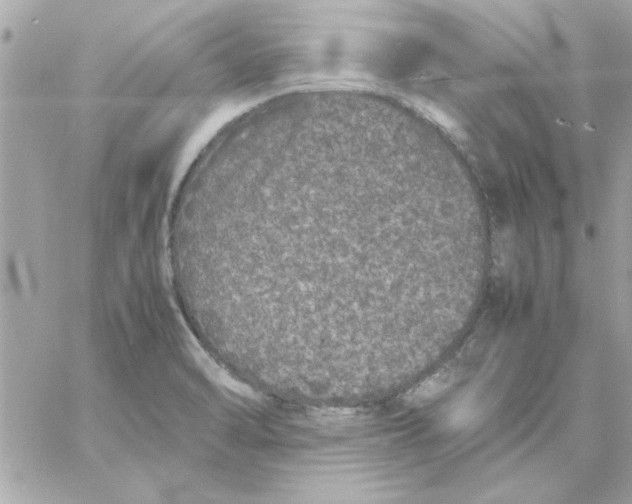 X0000057101470200510071924