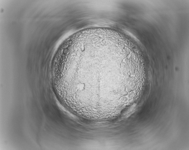 X0000057101471200510071924