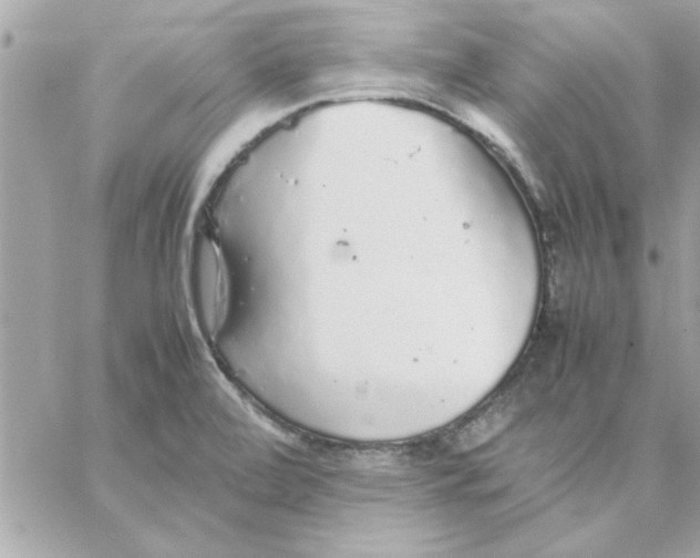 X0000057101472200510071924