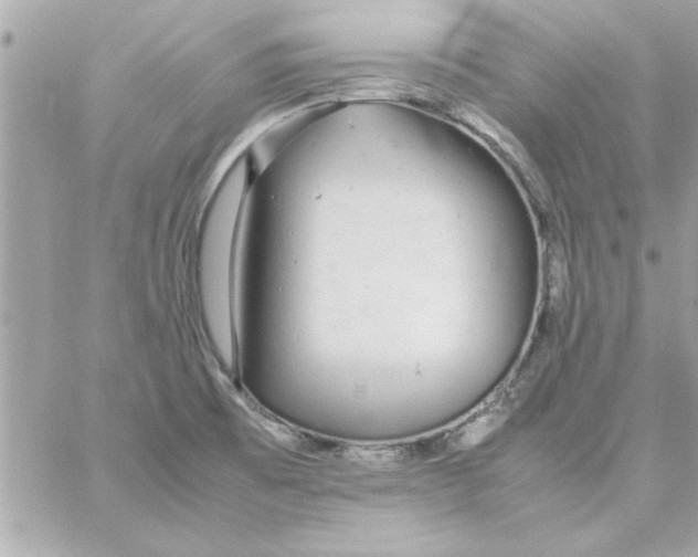 X0000057101473200510071924