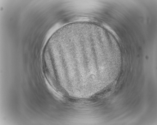 X0000057101475200510071924