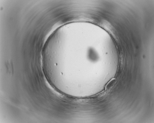 X0000057101476200510071924