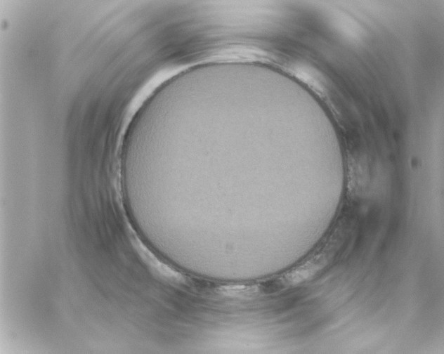 X0000057101478200510071924