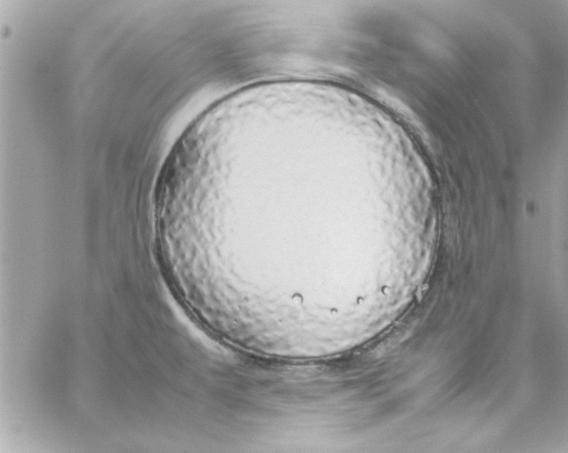 X0000057101479200510071924