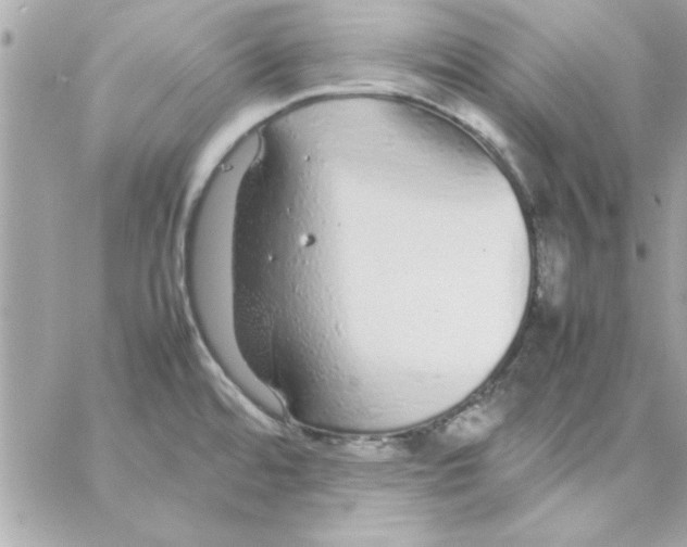 X0000057101480200510071924