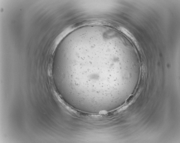 X0000057101481200510071924