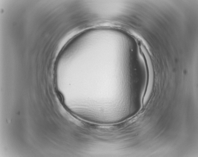 X0000057101483200510071924