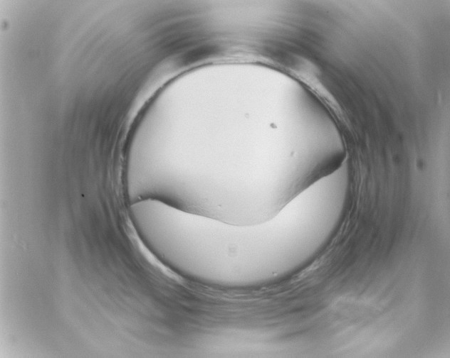 X0000057101484200510071924