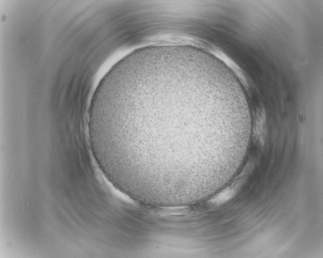 X0000057101486200510071924