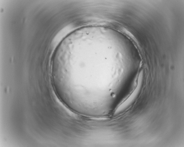 X0000057101487200510071924