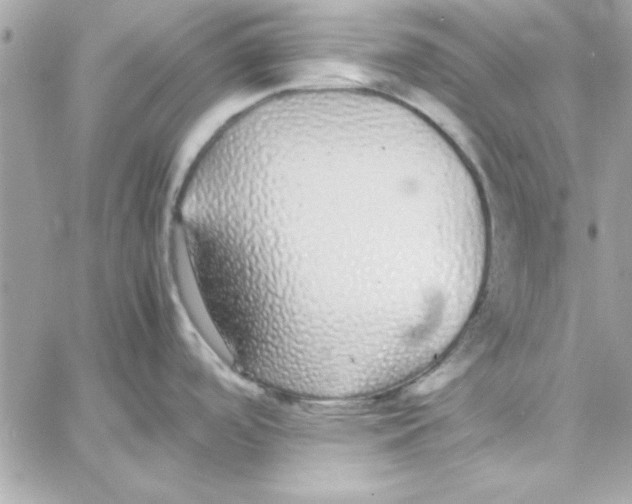 X0000057101488200510071924